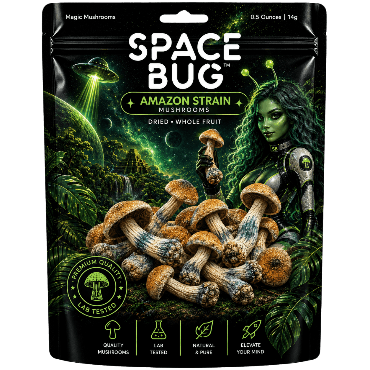 Dried Amazon strain mushrooms whole fruit