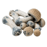 bluey vuitton mushroom