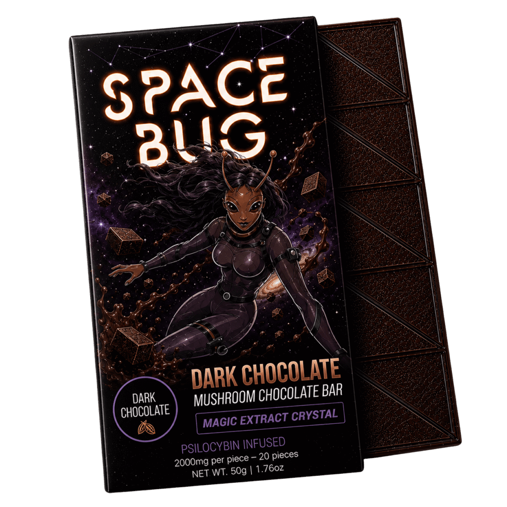 Dark Chocolate Mushroom Chocolate Bar
