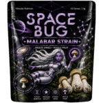 freeze dried malabar mushrooms