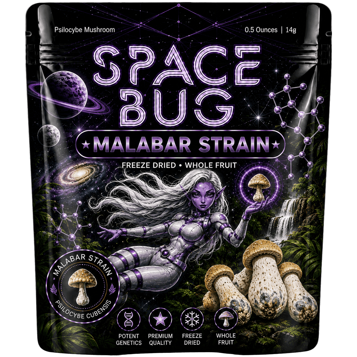 Close-up of freeze dried Malabar mushrooms