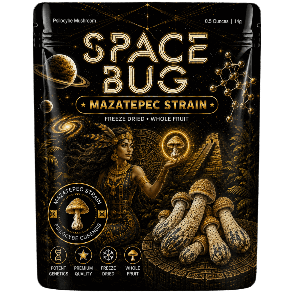 freeze dried mazatepec mushroom