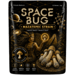 freeze dried mazatepec mushroom