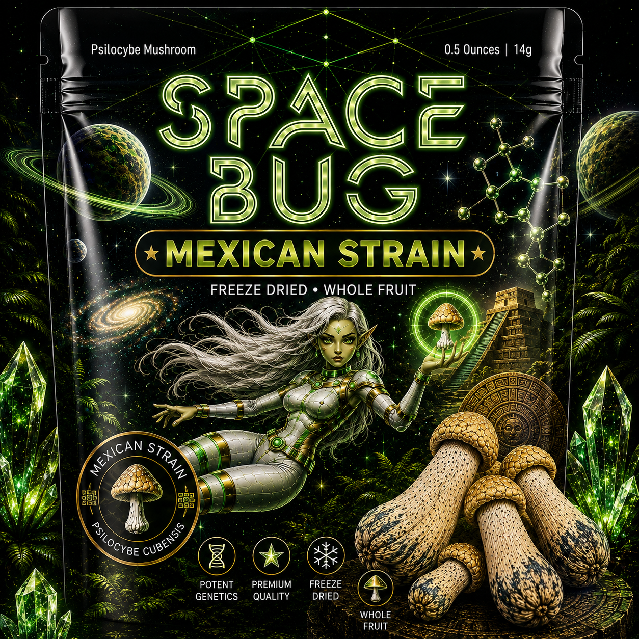 Freeze dried Mexican mushrooms whole fruit