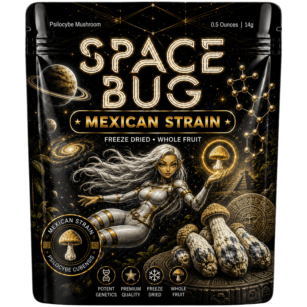 Close-up of freeze dried Mexican mushrooms