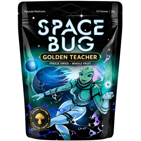 Golden teacher mushroom
