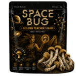 golden teacher mushroom