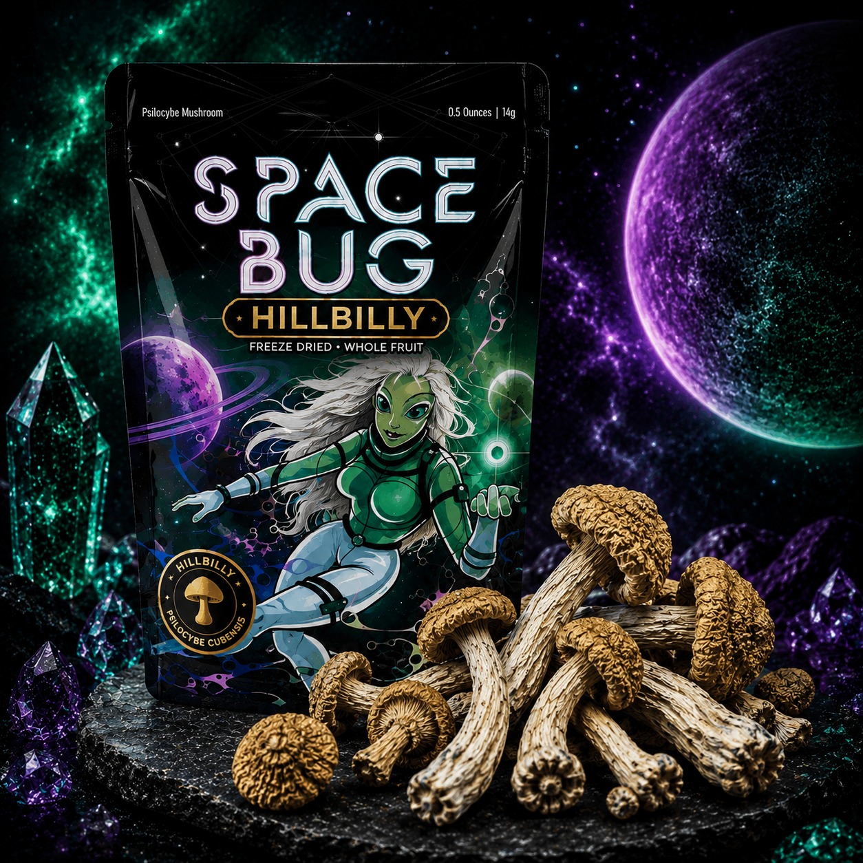 Close-up of freeze-dried Hillbilly mushrooms