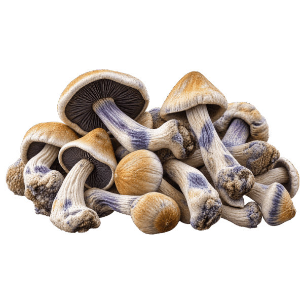 melmac mushroom