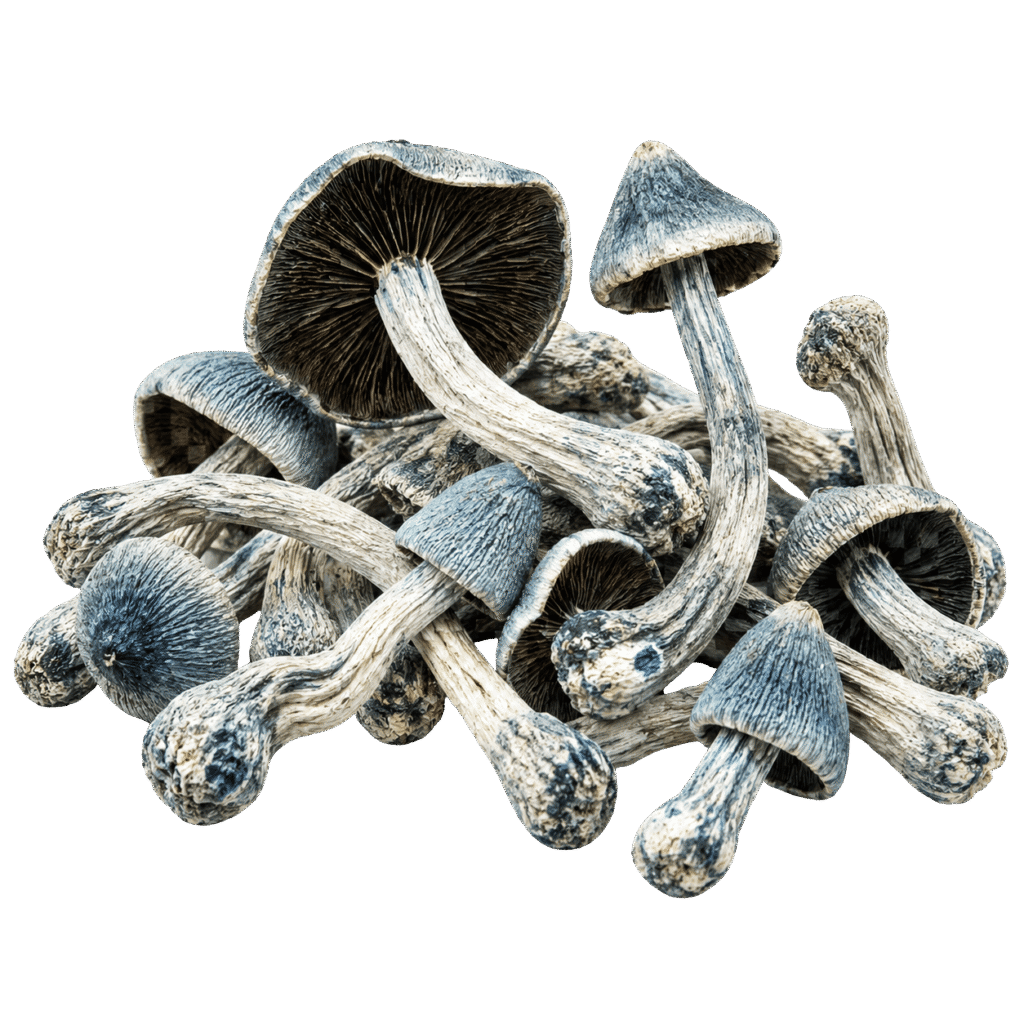 tat smurf mushroom