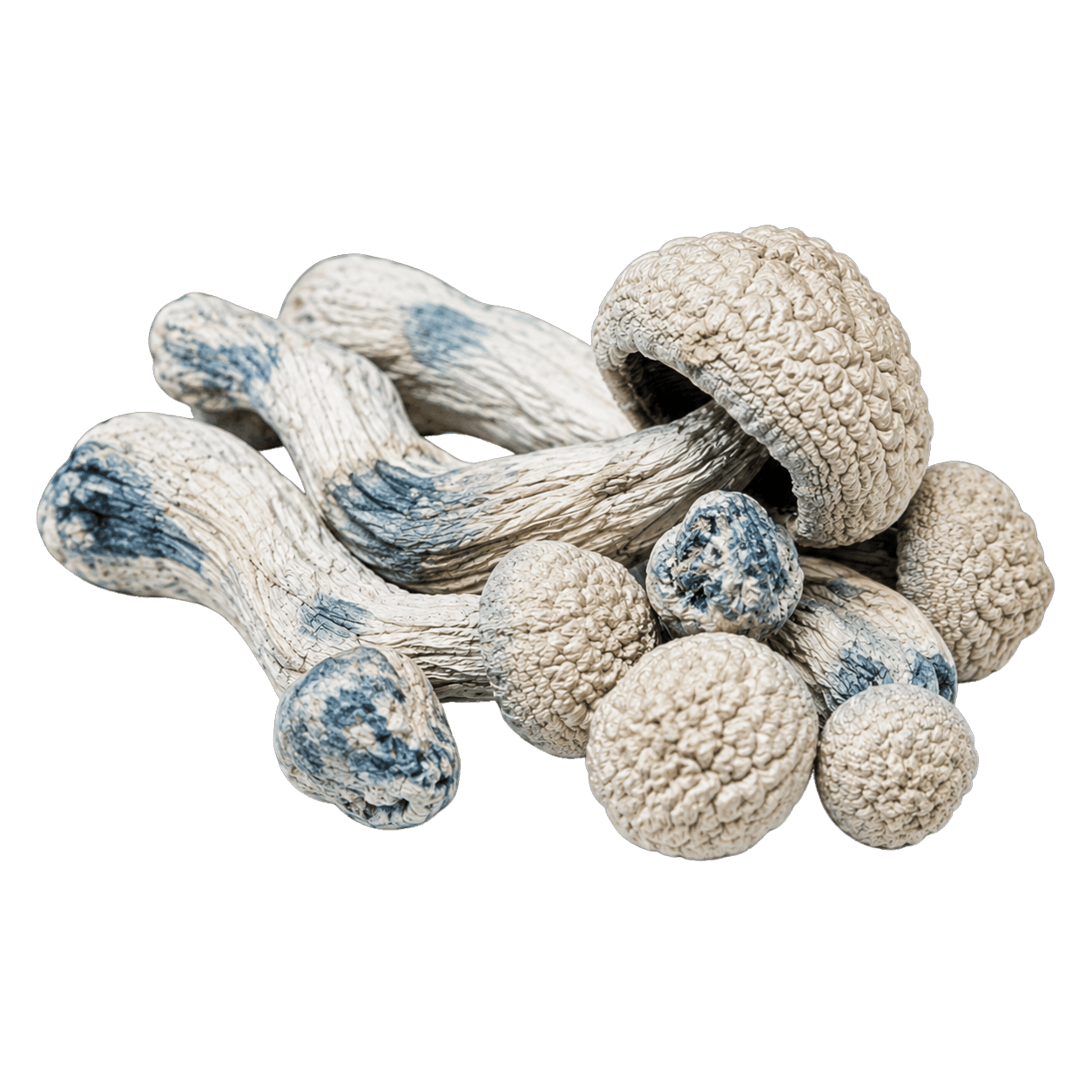 Albino Smurf mushroom with pale caps and stems